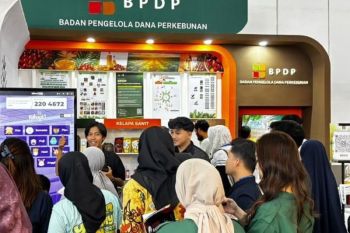 BPDP menyiapkan pertemukan UMKM perkebunan dengan investor