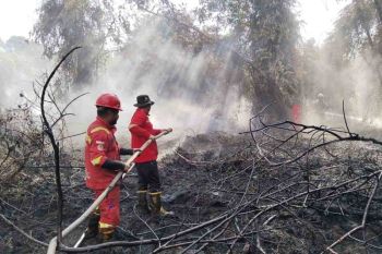 Kemenhut kerahkan tim Manggala Agni padamkan kebakaran lahan di Aceh