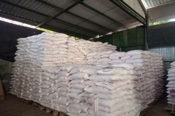 Pemkab Blitar sebut realisasi penyaluran pupuk bersubsidi 55 persen