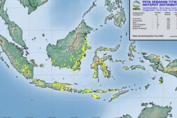 BMKG V Jayapura catat 112 titik api tersebar di Tanah Papua