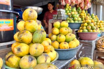 Sumedang kembangkan sentra mangga tingkatkan produksi petani