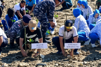 Undana gandeng TNI AL tanam mangrove dan bersihkan pesisir Oesapa