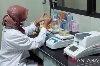 Dosen UNJA buat inovasi serum nano ekstrak daun pucuk merah bahan kosmetik