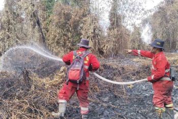 Tim Manggala Agni padamkan dua hektare lahan terbakar di Aceh Selatan