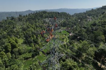 PLN: Tarif listrik triwulan III tetap, jalankan kebijakan pemerintah dan jaga kualitas layanan