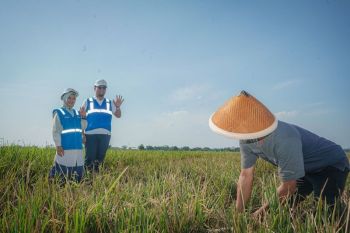PLN pasang pompa listrik ETANIGI, Petani Klaten aman dari kemarau