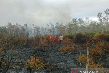 Polda: Personel lakukan penanganan cepat karhutla di Distrik Tomage Fakfak