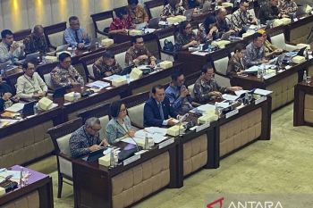 OJK mendukung pembentukan lembaga pengawas jasa keuangan di wilayah PFII