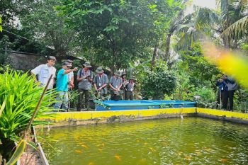 Mengintip desa energi berdikari lewat program GreenBus Pertamina