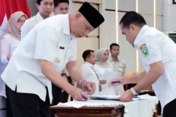 Pemkab Solok tetapkan 21.067 hektare LP2B lindungi lahan pangan