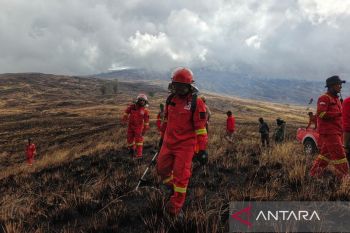 Padang savana Taman Nasional Tambora di Pulau Sumbawa terbakar