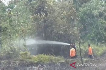 BPBD: Kebakaran lahan di Muaro Jambi meluas jadi lima titik