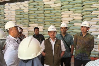 Bulog pusat cek langsung kesiapan stok beras untuk bantuan pangan di Bali