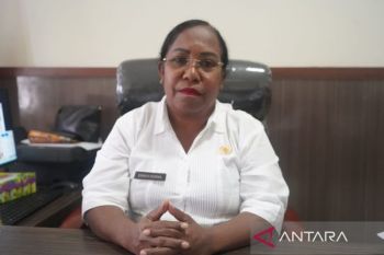 Disnakeswan PMimika sebit pabrik pakan pacu peningkatan produksi ayam lokal