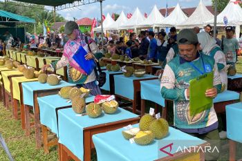 Pemprov Babel lestarikan plasma nuftah durian lokal melalui kontes