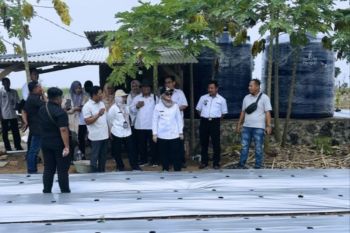 Bupati Lampung Timur tinjau Smart Farming cabai, langkah nyata modernisasi pertanian