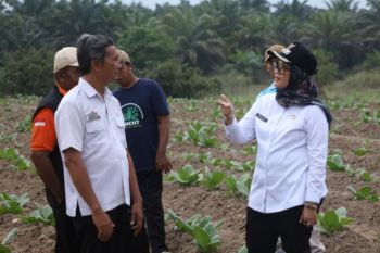 Bupati Lampung Timur serap aspirasi petani tembakau, pastikan dana bagi hasil cukai tepat waktu
