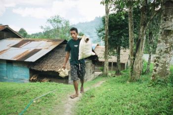 Getah damar jadi sumber penghidupan masyarakat Negeri Neniari Maluku