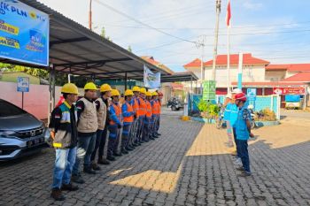 PLN UID Sumatera Barat Pertahankan Zero Accident, Raih Penghargaan Kinerja Direktorat Distribusi Semester I Tahun 2026