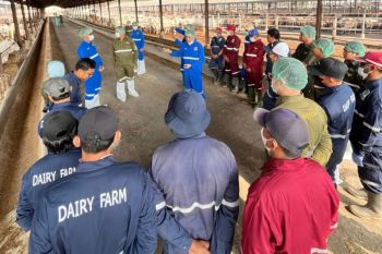 Badan Karantina Lampung tingkatkan kapasitas SDM pada sektor peternakan
