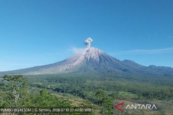 Gunung Semeru erupsi enam kali dengan tinggi letusan hingga 1,3 km