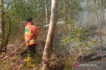 BNPB: Karhutla di Situbondo padam, status siaga darurat hingga Oktober