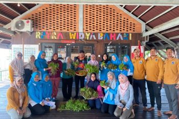 Warga Pulau Harapan diminta bertanam penuhi kebutuhan sayur harian