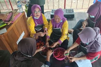 Warga Kepulauan Seribu diberi pelatihan diversifikasi olahan hasil pertanian
