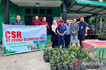 Kampung GERMAS Lubuk Gaung perkuat ketahanan pangan dan generasi muda lewat kolaborasi