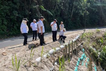 Lampung pasang turap bambu di ruas batas Liwa-Sumsel