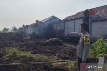 Damkar Bekasi kerahkan dua armada padamkan kebakaran alang-alang