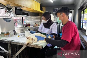 DKI kemarin, mobil klinik hewan keliling hingga pembebasan lahan