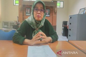 DP3 Sleman keluarkan edaran pengendalian hama wereng batang coklat