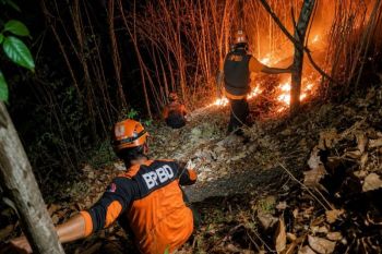 BPBD: Tim gabungan gerak cepat kendalikan karhutla di Lumajang