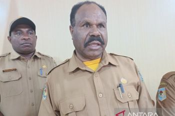Pemprov Papua Pegunungan dorong pengembangan pertanian di delapan kabupaten