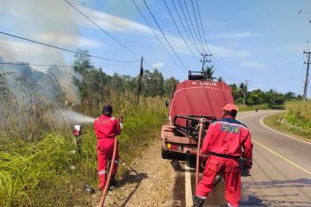 Damkar Belitung berhasil padamkan kebakaran lahan satu hektare