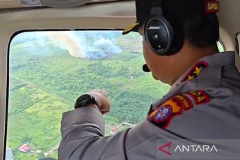 Kapolda Kalteng temukan titik api seluas 16 hektare saat patroli udara karhutla