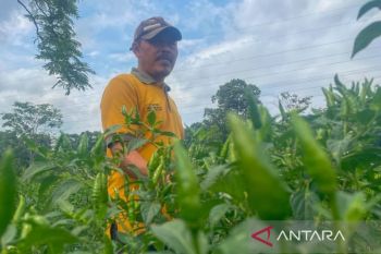 Pemkab Kuningan alokasikan LP2B 22.588 hektare dalam RTRW