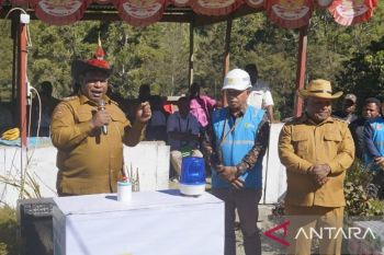 Pemkab Jayawijaya pastikan Distrik Taelarek nikmati listrik dari PLN