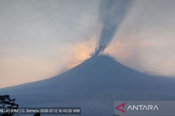 Semeru delapan kali erupsi dengan tinggi letusan hingga 900 meter