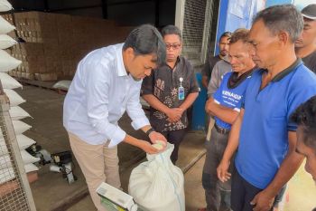 Bulog NTT menyerap 7.407 ton beras petani guna perkuat swasembada pangan