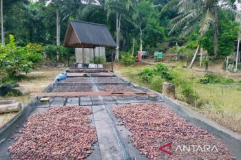 Berbagai produk perhutanan sosial Kaltim tembus pasar modern