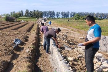 Rehabilitasi sawah rusak dan optimalisasi lahan di Bireuen selesai