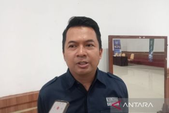 Pemda DIY kenalkan ragam karya budaya melalui Bulan Warisan Dunia
