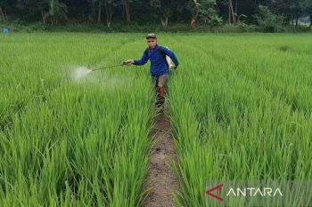 KTNA: Penurunan pupuk subsidi dan kepastian harga jadi perubahan nyata