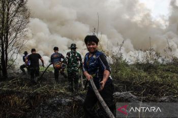 Indonesia pushes structural reform to prevent forest fires
