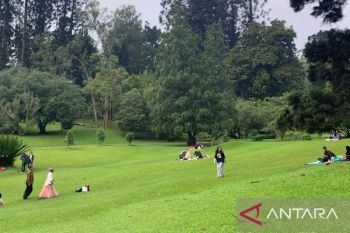 Kebun Raya Cibodas catat tingkat kunjungan naik 30 persen periode libur sekolah