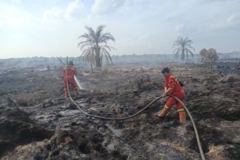 Manggala Agni padamkan karhutla 7,5 hektare di Rokan Hilir Riau