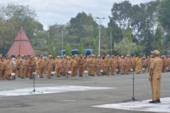 Bupati Jayapura pastikan 750 tenaga honorer tidak dirumahkan