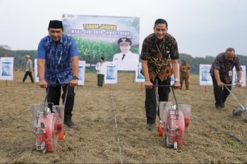 Wagub Jateng mendukung lahan tidur di Banjarnegara jadi sentra pangan